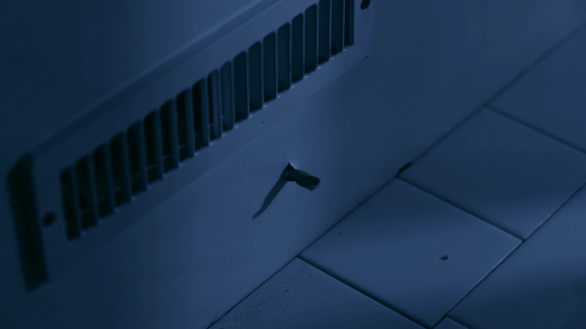 Marissa Lee Benedict and David Rueter, Video still
