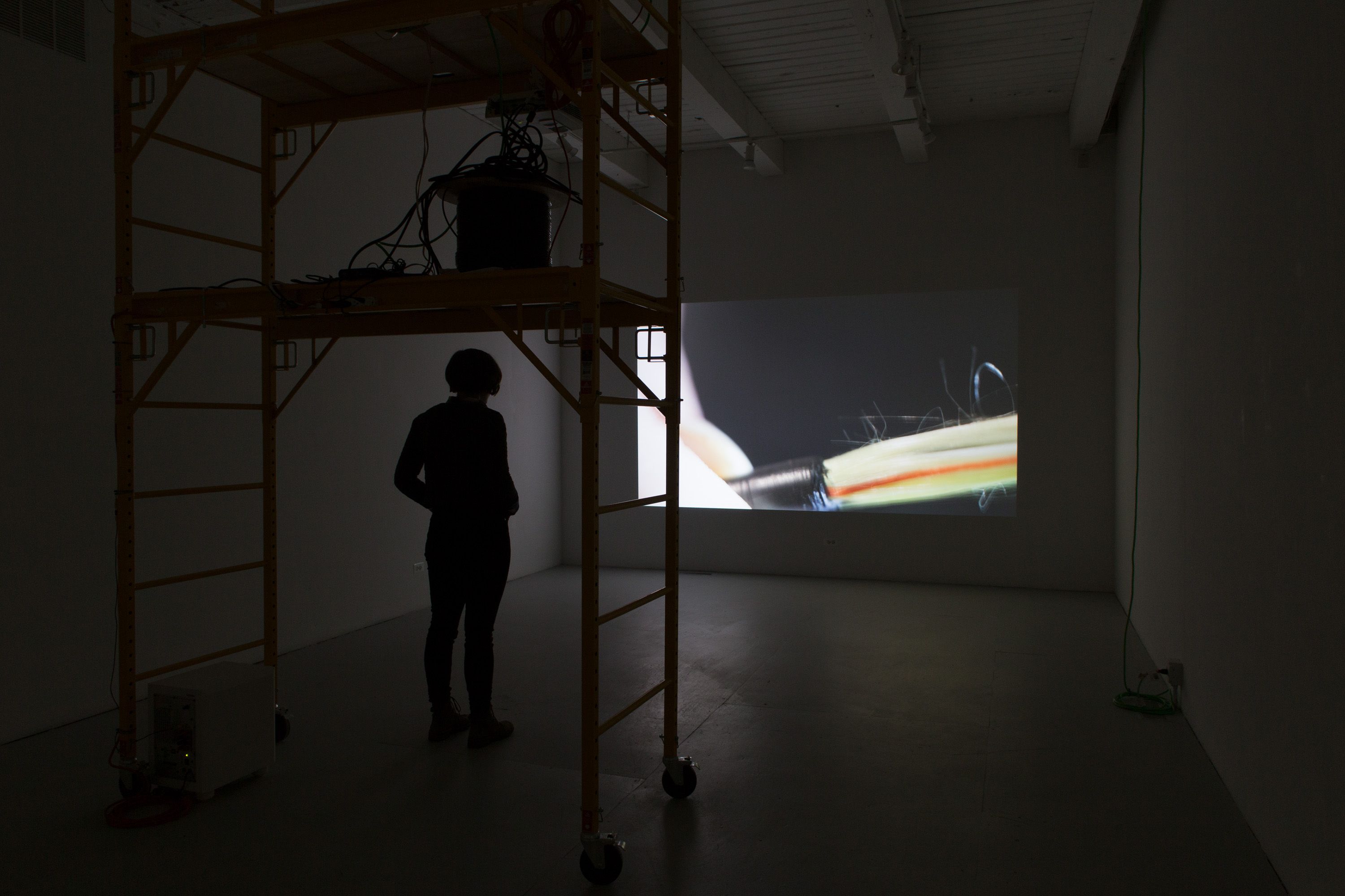 Marissa Lee Benedict and David Rueter, Installation detail - Chicago Artists Coalition, 2015