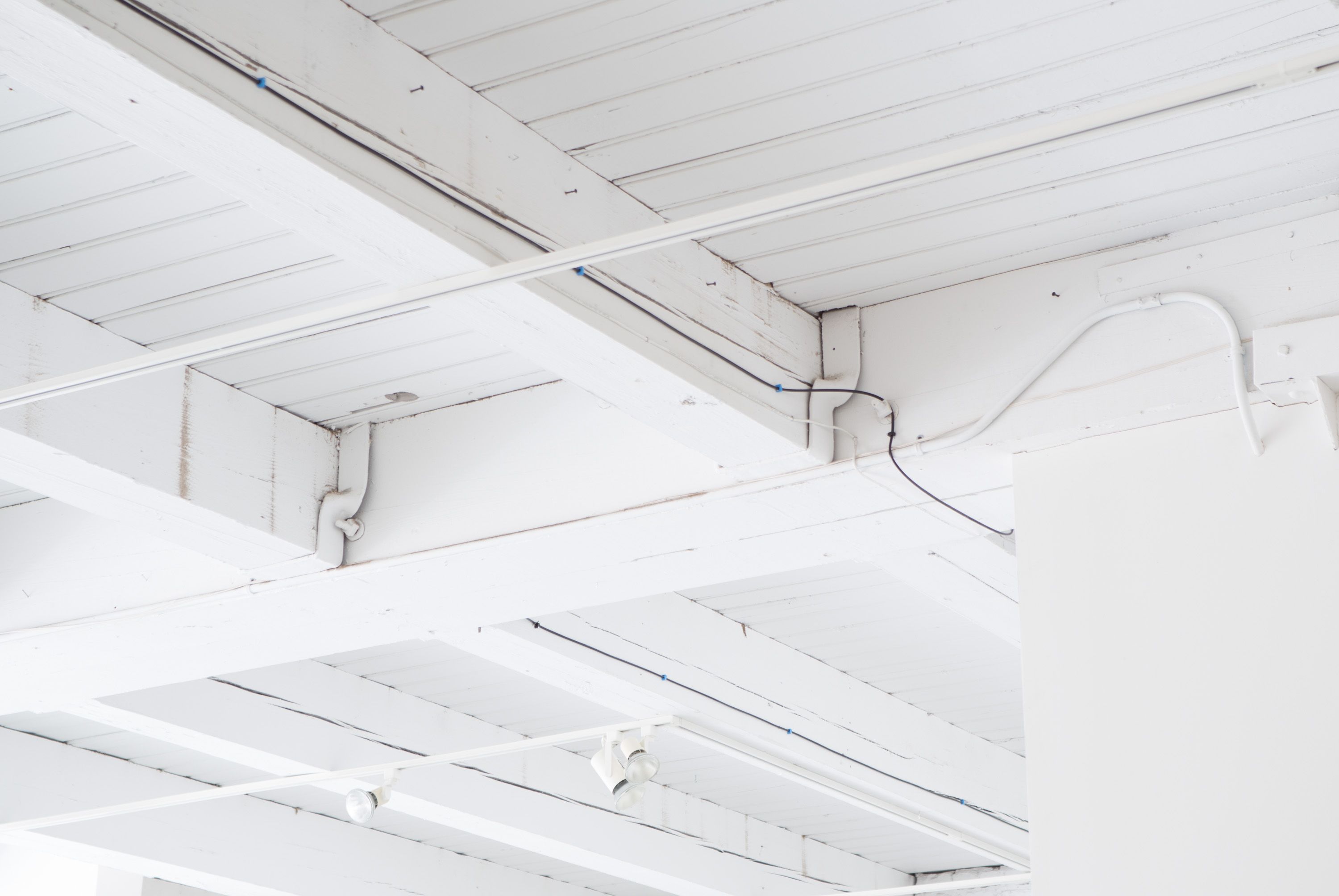 Marissa Lee Benedict and David Rueter, Installation detail - Chicago Artists Coalition, 2015