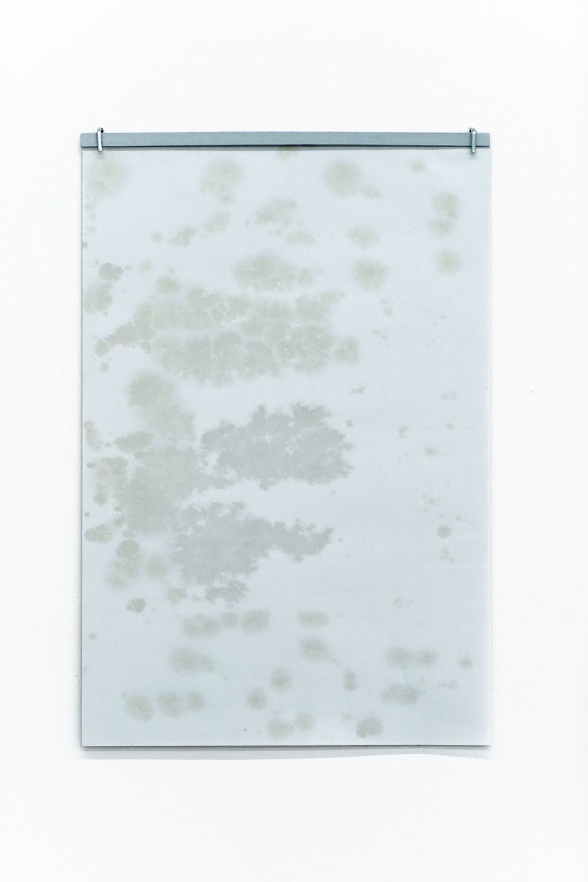 Marissa Lee Benedict and David Rueter, Chalked Oil, 2021, Linseed oil, calcium carbonate on vellum, 12 x18 inches