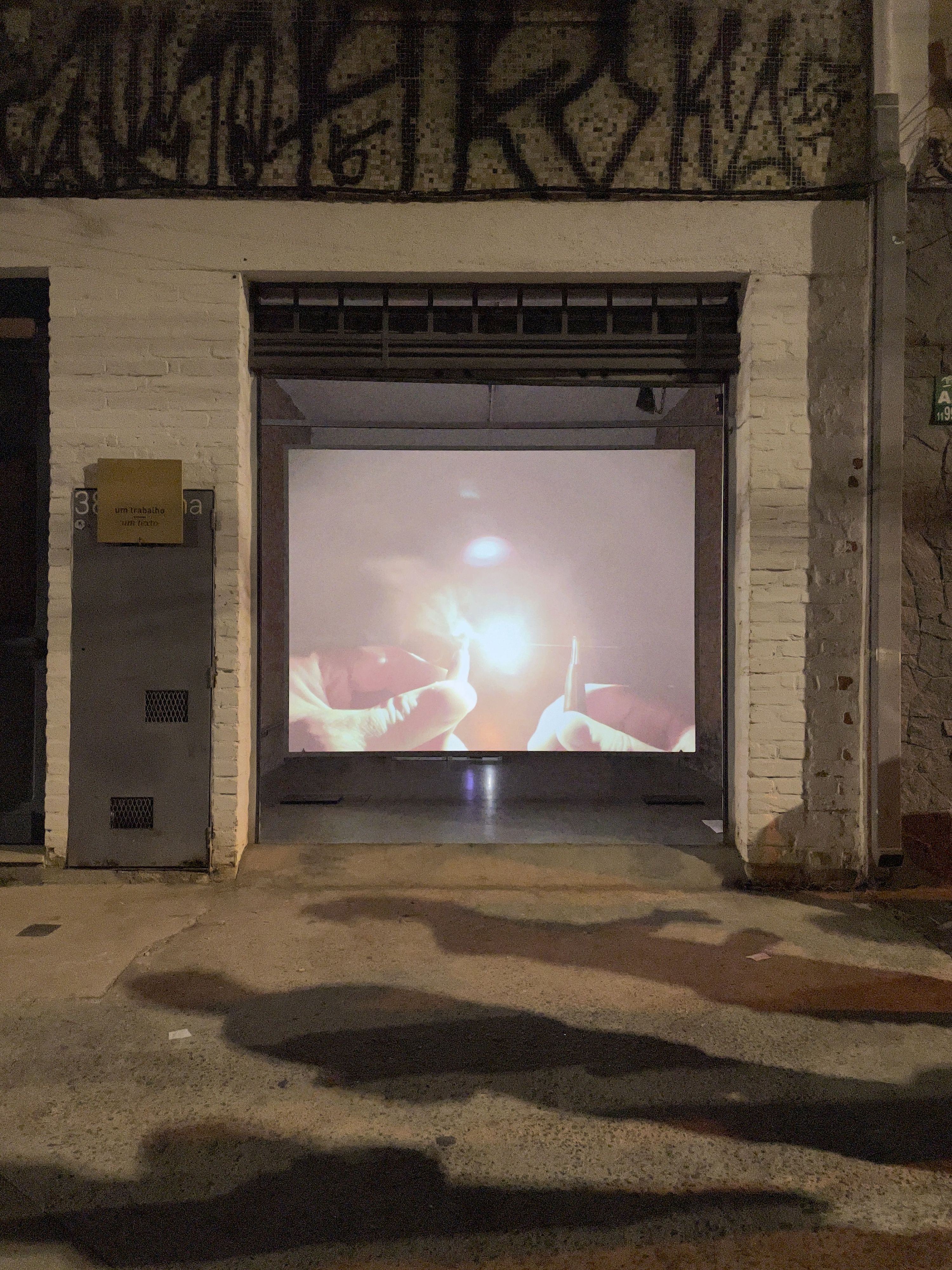 Marissa Lee Benedict and David Rueter, lâmina, 2021, Video Installation, Dimensions Variable