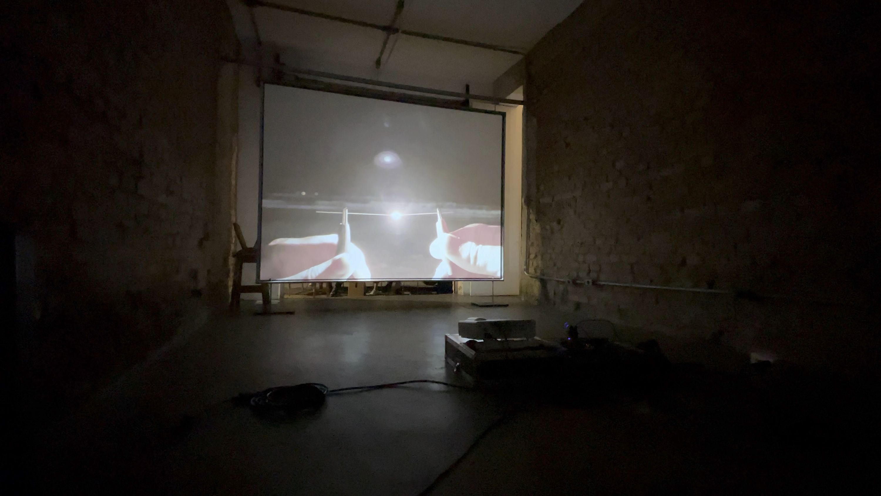 Marissa Lee Benedict and David Rueter, lâmina, 2021, Video Installation, Dimensions Variable